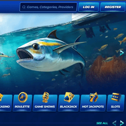 Bassbet screenshot 2